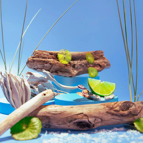 Wood Sage & Sea Salt