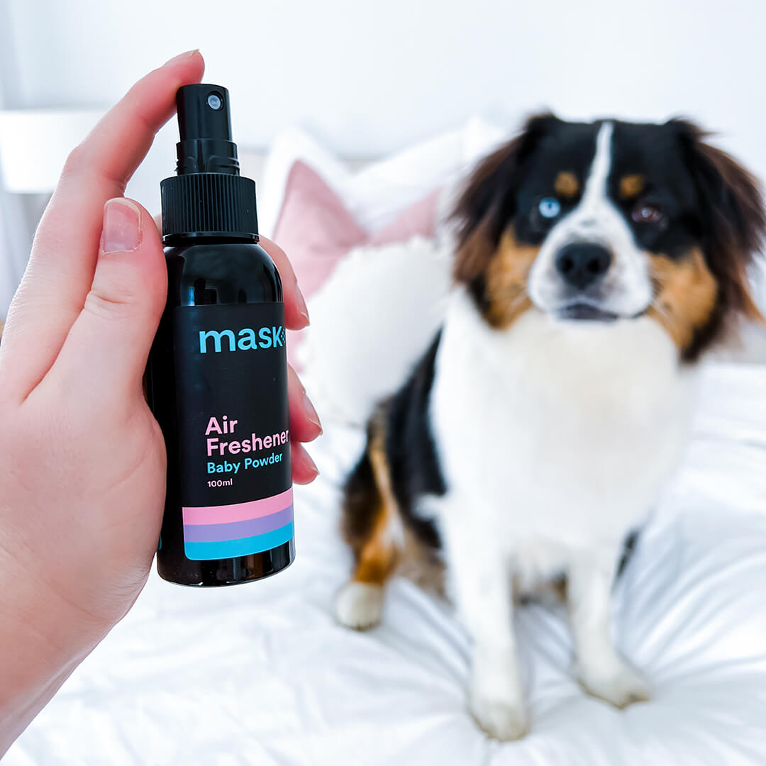 Air spray for dogs best sale