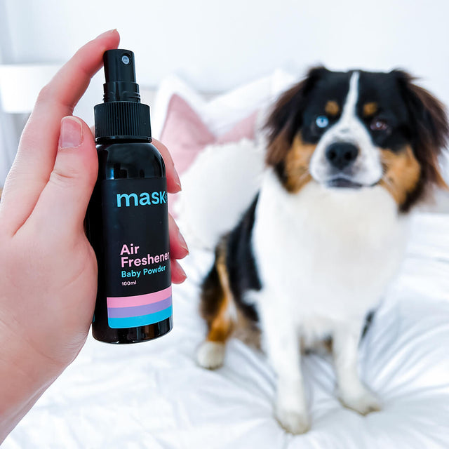 Mask Co. | Air Fresheners | Experience Aussie-made goodness - Mask Co