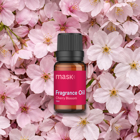 Cherry Blossom