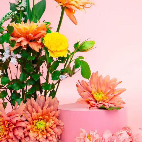 1x Toilet Spray (100ml) - 30% OFF!