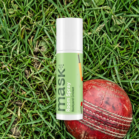 Backyard Cricket
