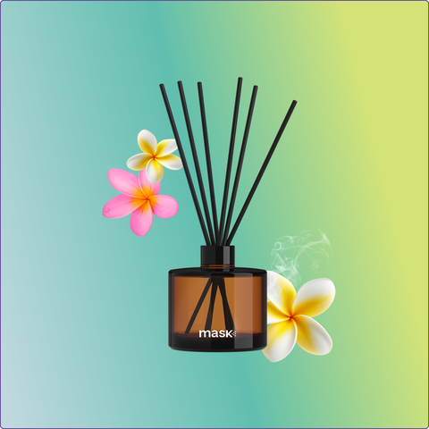 Mini Reed Diffuser Set with 1x Refill and Reed Sticks