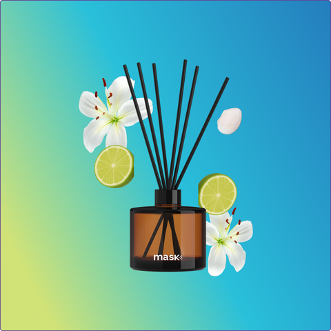 Mini Reed Diffuser Set with 1x Refill and Reed Sticks