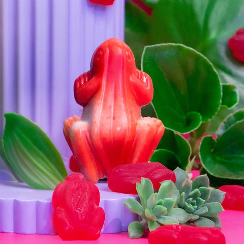 52% OFF - 1x Mini Reed Diffuser Refill + Reed Sticks