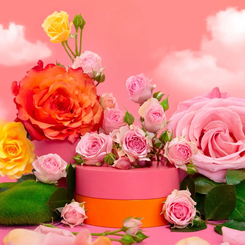 1x Toilet Spray (100ml) - 30% OFF!