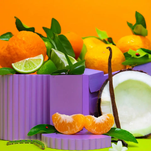 52% OFF - 1x Mini Reed Diffuser Refill + Reed Sticks